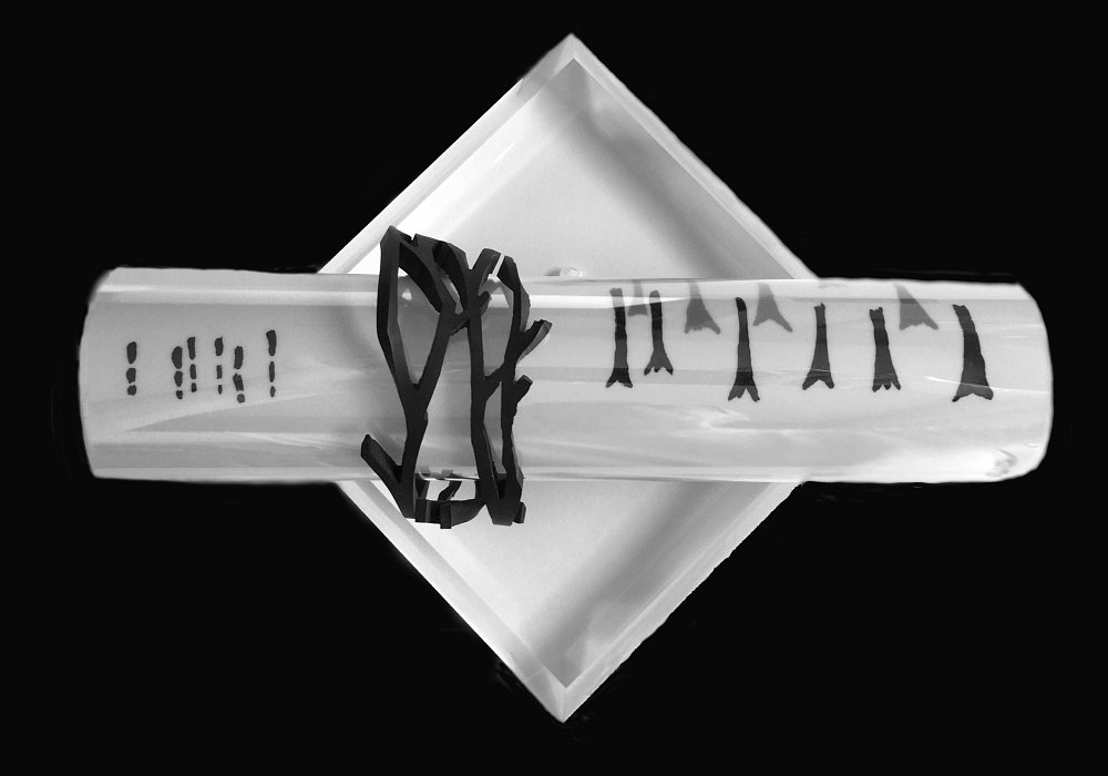 Le poumon de notre planète.